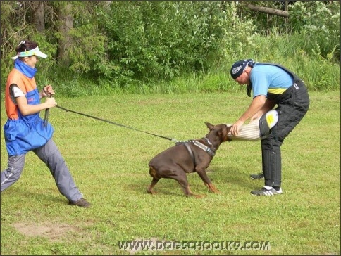 Summer training camp in Estonia 2007